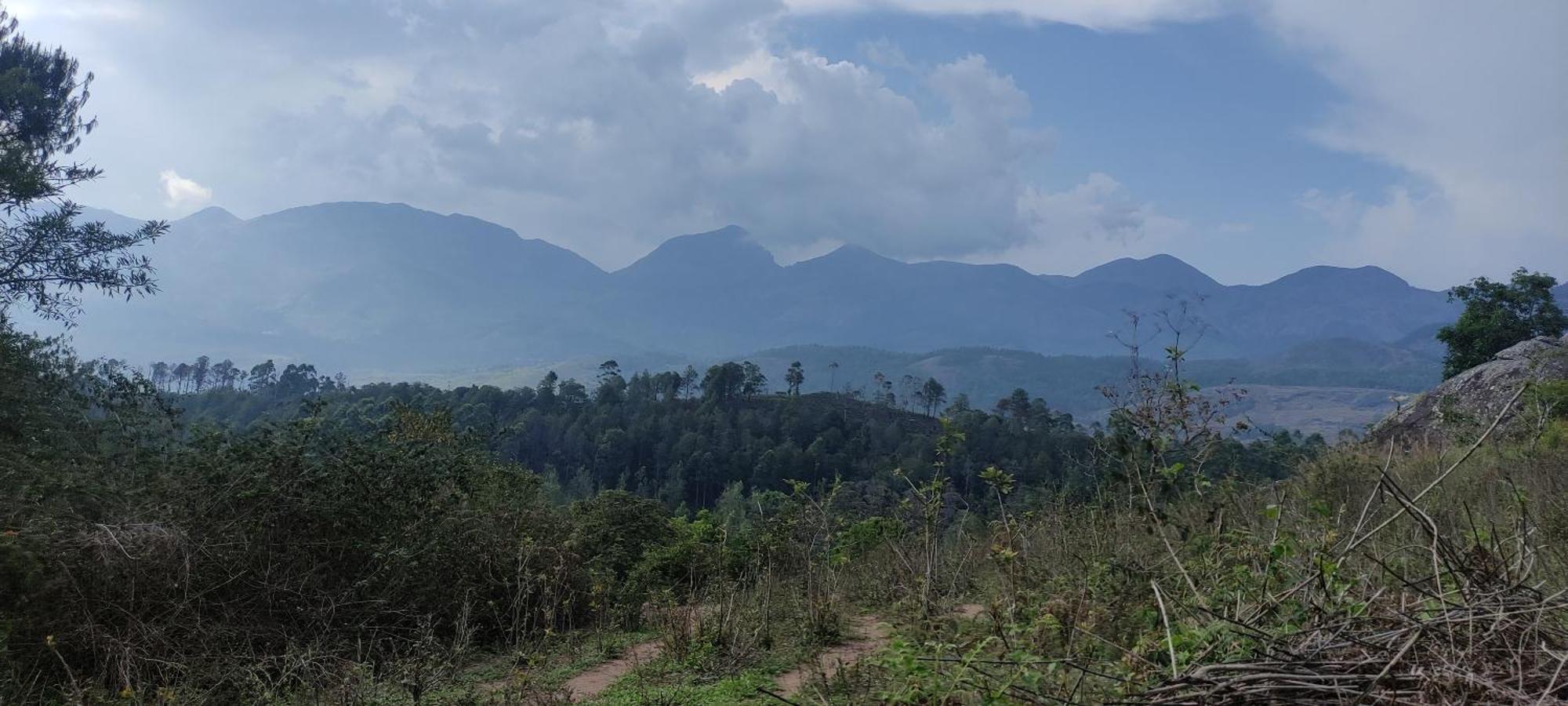El Lora Resldency Bed & Breakfast Munnar Exterior photo